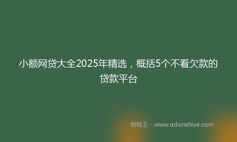 小额网贷大全2025年精选，概括5个不看欠款的贷款平台