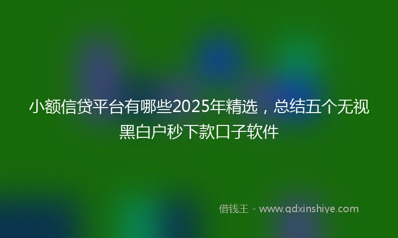 小额信贷平台有哪些2025年精选，总结五个无视黑白户秒下款口子软件