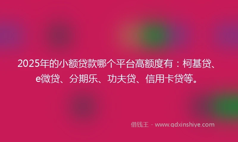 2025年的小额贷款哪个平台高额度有：柯基贷、e微贷、分期乐、功夫贷、信用卡贷等。