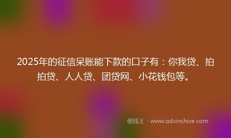 2025年的征信呆账能下款的口子有：你我贷、拍拍贷、人人贷、团贷网、小花钱包等。