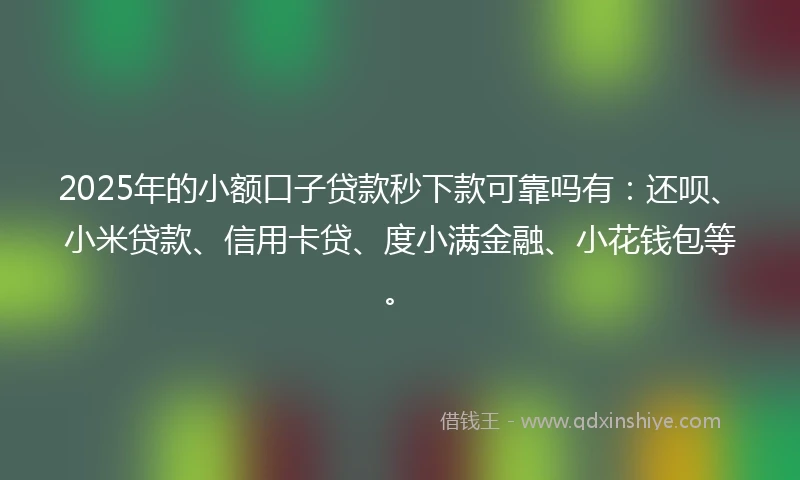 2025年的小额口子贷款秒下款可靠吗有：还呗、小米贷款、信用卡贷、度小满金融、小花钱包等。