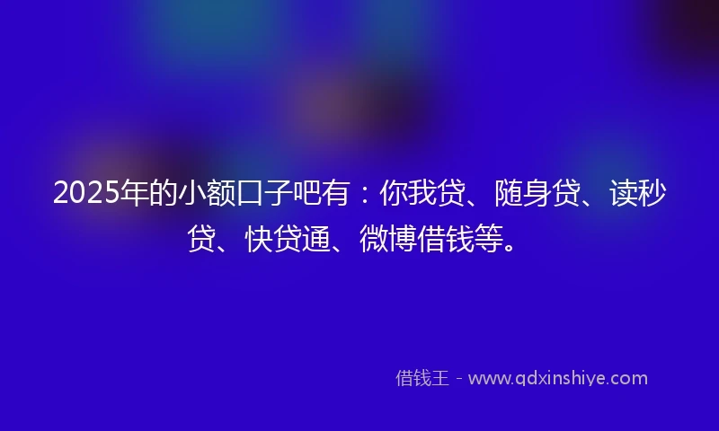 2025年的小额口子吧有：你我贷、随身贷、读秒贷、快贷通、微博借钱等。