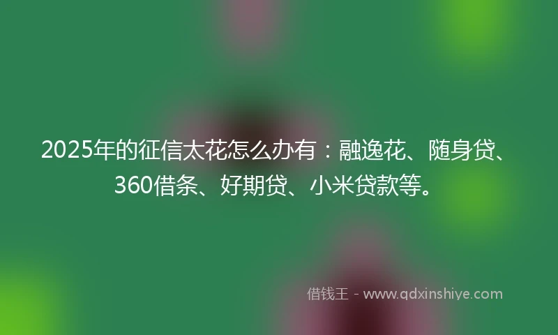 2025年的征信太花怎么办有：融逸花、随身贷、360借条、好期贷、小米贷款等。