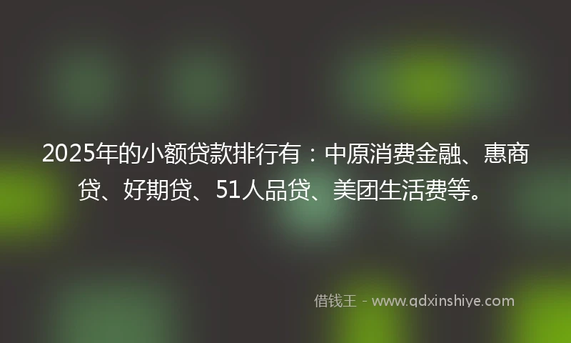 2025年的小额贷款排行有：中原消费金融、惠商贷、好期贷、51人品贷、美团生活费等。