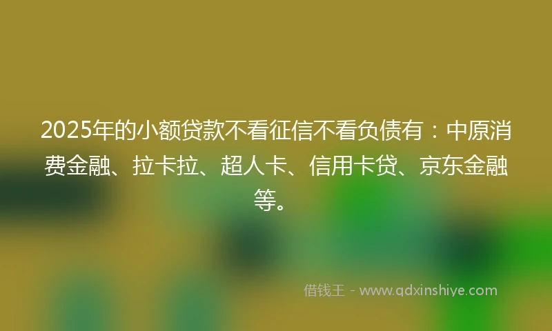 2025年的小额贷款不看征信不看负债有：中原消费金融、拉卡拉、超人卡、信用卡贷、京东金融等。