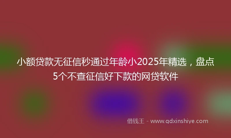 小额贷款无征信秒通过年龄小2025年精选，盘点5个不查征信好下款的网贷软件