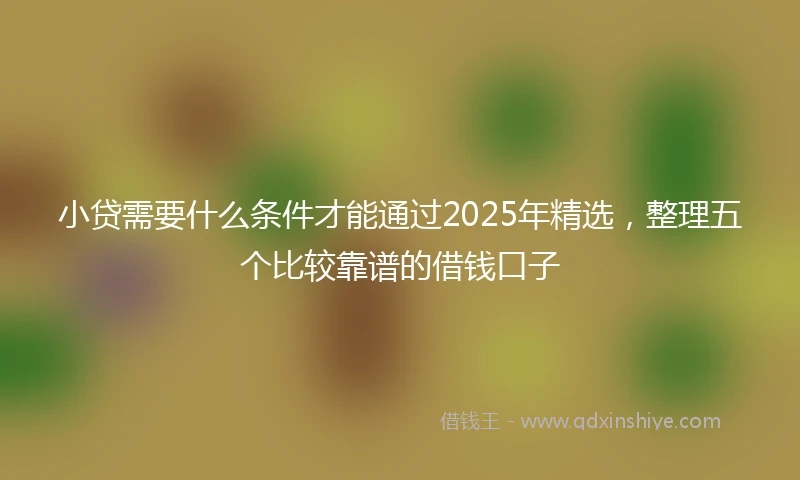 小贷需要什么条件才能通过2025年精选，整理五个比较靠谱的借钱口子