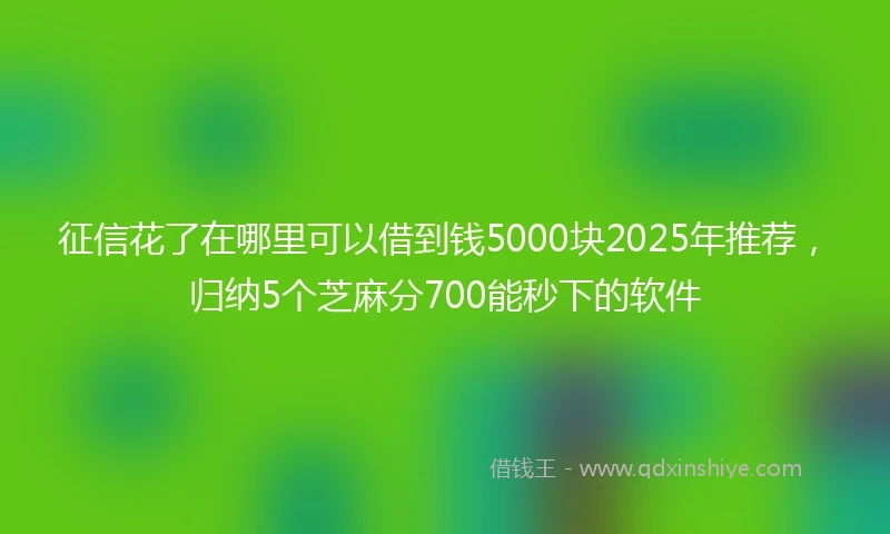征信花了在哪里可以借到钱5000块2025年推荐，归纳5个芝麻分700能秒下的软件