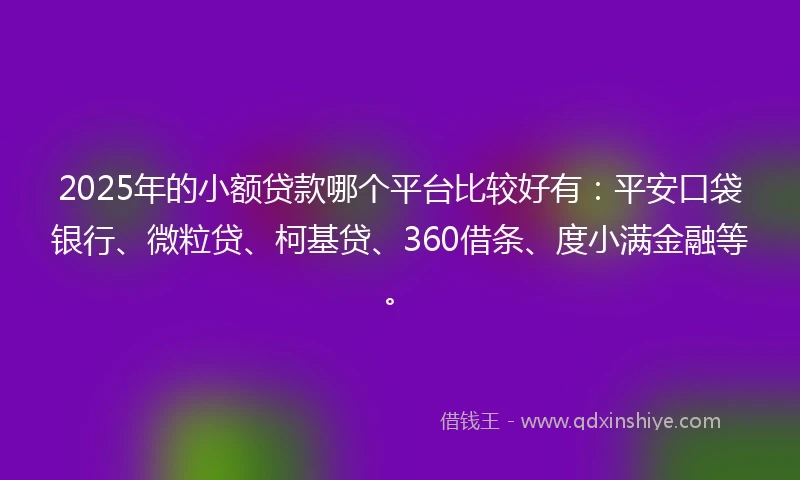 2025年的小额贷款哪个平台比较好有：平安口袋银行、微粒贷、柯基贷、360借条、度小满金融等。