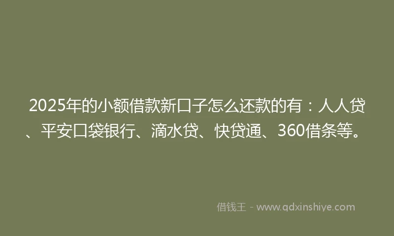 2025年的小额借款新口子怎么还款的有：人人贷、平安口袋银行、滴水贷、快贷通、360借条等。