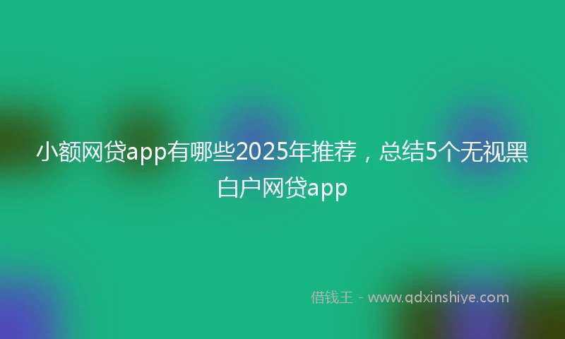 小额网贷app有哪些2025年推荐，总结5个无视黑白户网贷app