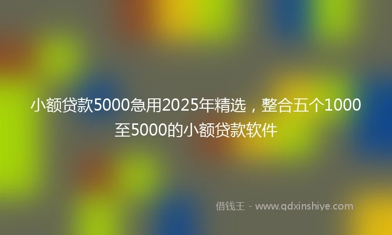 小额贷款5000急用2025年精选，整合五个1000至5000的小额贷款软件