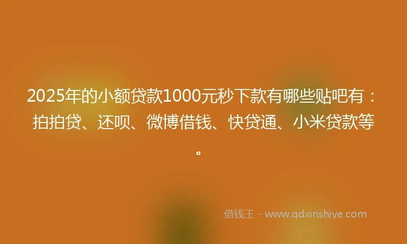 2025年的小额贷款1000元秒下款有哪些贴吧有：拍拍贷、还呗、微博借钱、快贷通、小米贷款等。
