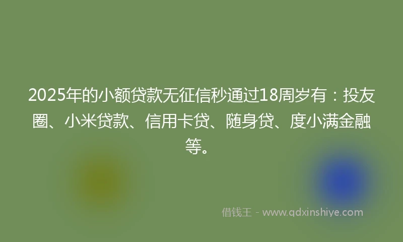 2025年的小额贷款无征信秒通过18周岁有：投友圈、小米贷款、信用卡贷、随身贷、度小满金融等。