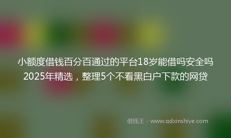 小额度借钱百分百通过的平台18岁能借吗安全吗2025年精选，整理5个不看黑白户下款的网贷
