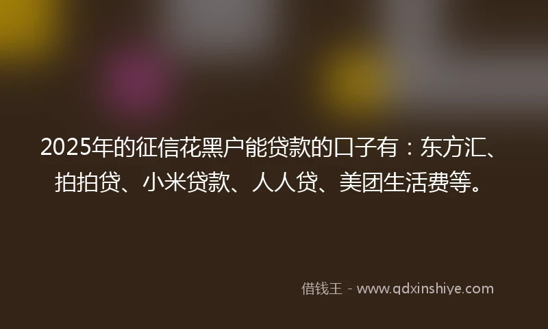 2025年的征信花黑户能贷款的口子有：东方汇、拍拍贷、小米贷款、人人贷、美团生活费等。