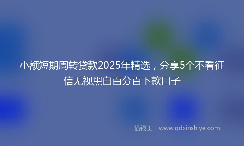 小额短期周转贷款2025年精选，分享5个不看征信无视黑白百分百下款口子