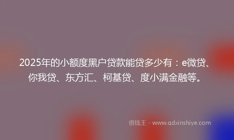 2025年的小额度黑户贷款能贷多少有：e微贷、你我贷、东方汇、柯基贷、度小满金融等。