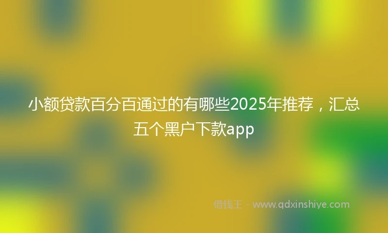 小额贷款百分百通过的有哪些2025年推荐，汇总五个黑户下款app
