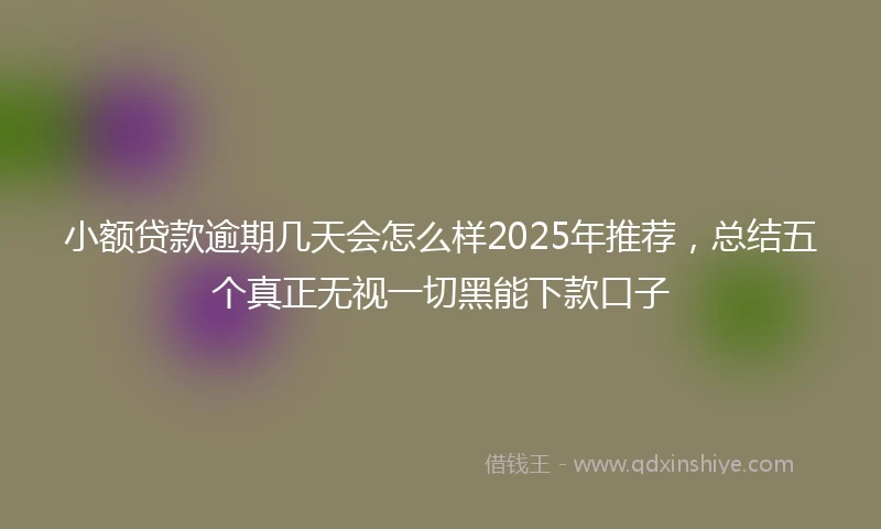 小额贷款逾期几天会怎么样2025年推荐，总结五个真正无视一切黑能下款口子