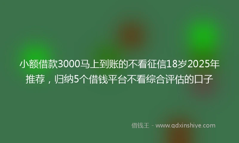 小额借款3000马上到账的不看征信18岁2025年推荐，归纳5个借钱平台不看综合评估的口子
