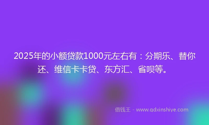 2025年的小额贷款1000元左右有：分期乐、替你还、维信卡卡贷、东方汇、省呗等。