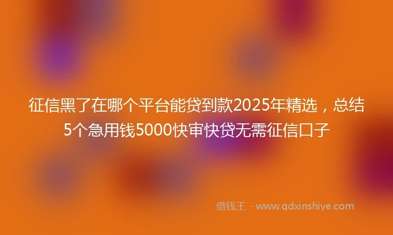 征信黑了在哪个平台能贷到款2025年精选，总结5个急用钱5000快审快贷无需征信口子