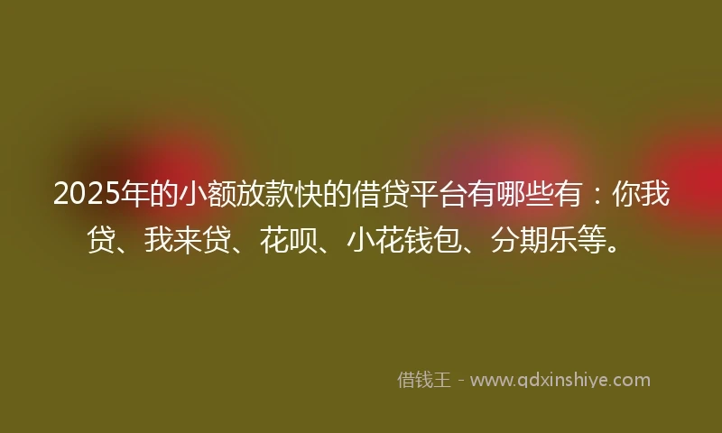 2025年的小额放款快的借贷平台有哪些有：你我贷、我来贷、花呗、小花钱包、分期乐等。