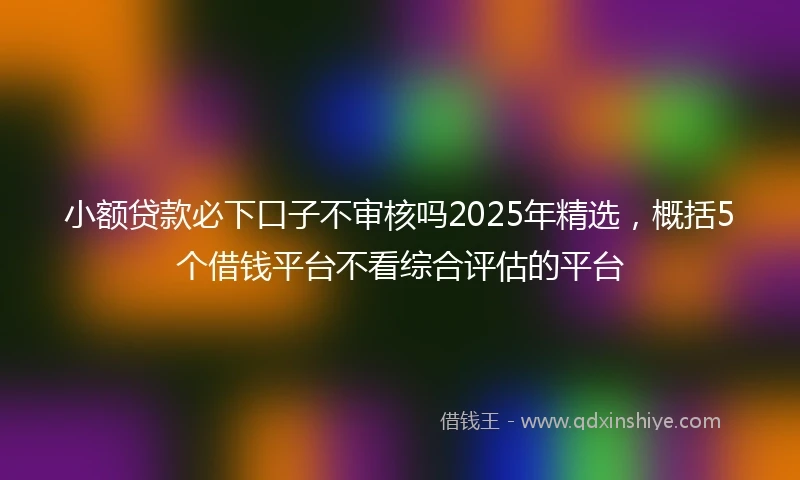 小额贷款必下口子不审核吗2025年精选，概括5个借钱平台不看综合评估的平台