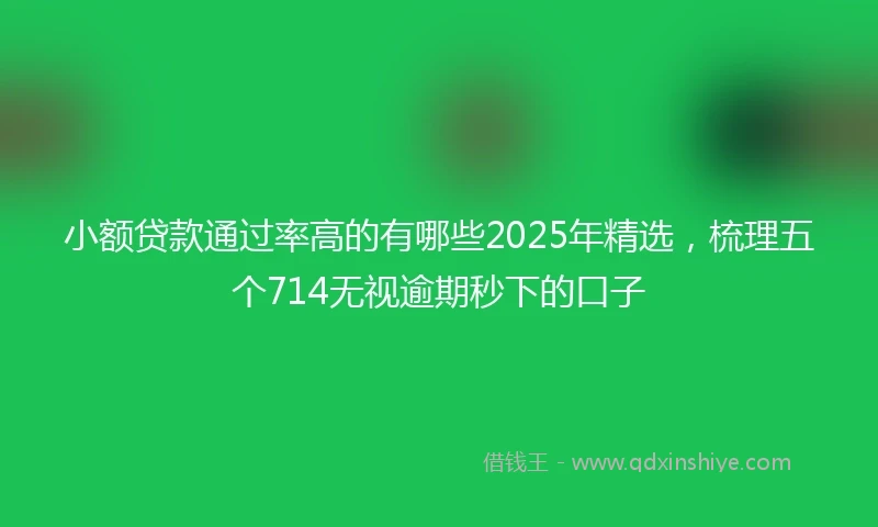小额贷款通过率高的有哪些2025年精选，梳理五个714无视逾期秒下的口子