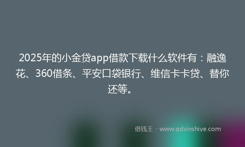 2025年的小金贷app借款下载什么软件有：融逸花、360借条、平安口袋银行、维信卡卡贷、替你还等。