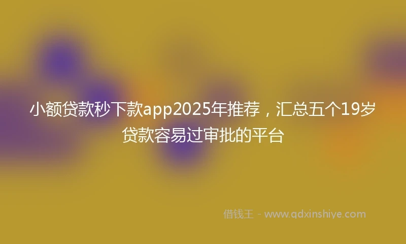 小额贷款秒下款app2025年推荐，汇总五个19岁贷款容易过审批的平台