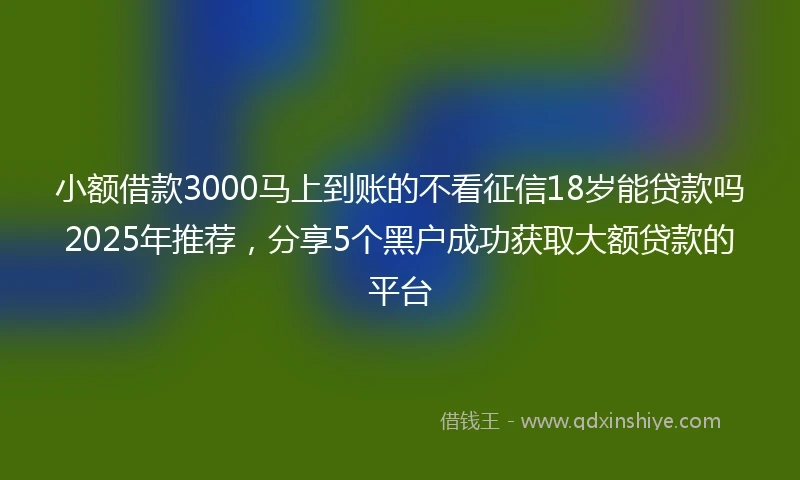 小额借款3000马上到账的不看征信18岁能贷款吗2025年推荐，分享5个黑户成功获取大额贷款的平台