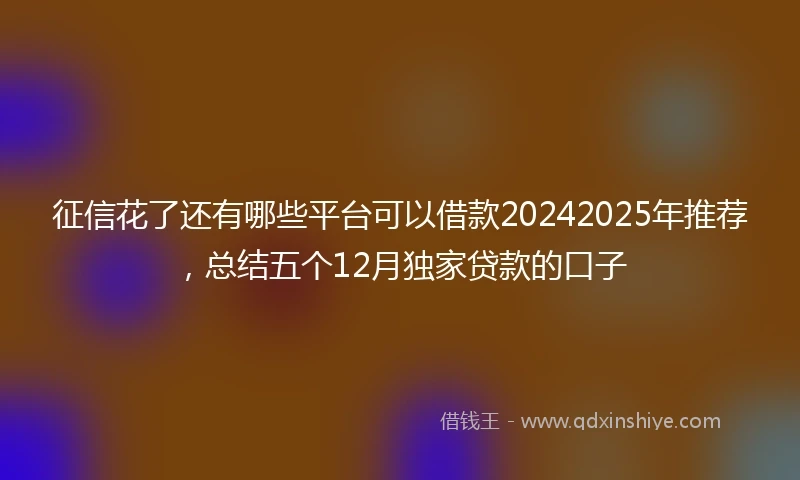 征信花了还有哪些平台可以借款20242025年推荐，总结五个12月独家贷款的口子