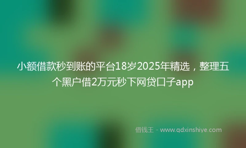 小额借款秒到账的平台18岁2025年精选，整理五个黑户借2万元秒下网贷口子app