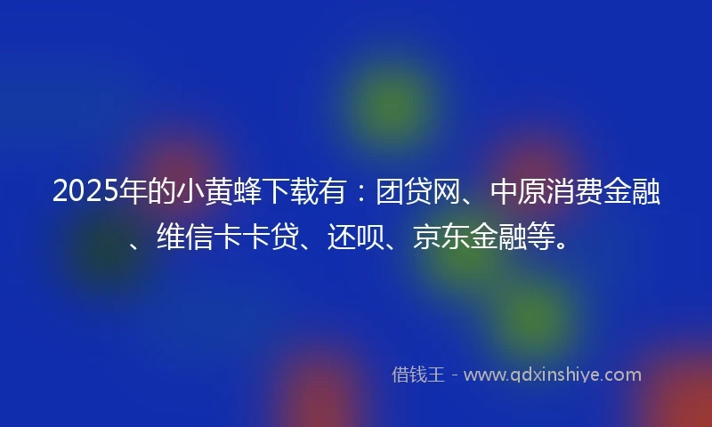 2025年的小黄蜂下载有：团贷网、中原消费金融、维信卡卡贷、还呗、京东金融等。