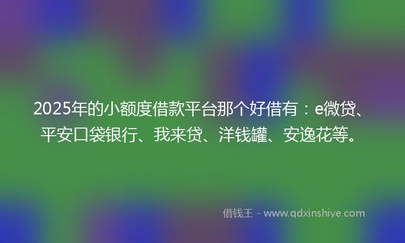2025年的小额度借款平台那个好借有：e微贷、平安口袋银行、我来贷、洋钱罐、安逸花等。