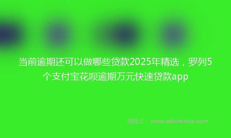当前逾期还可以做哪些贷款2025年精选，罗列5个支付宝花呗逾期万元快速贷款app