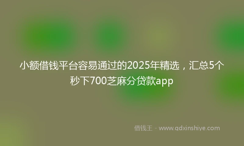 小额借钱平台容易通过的2025年精选，汇总5个秒下700芝麻分贷款app