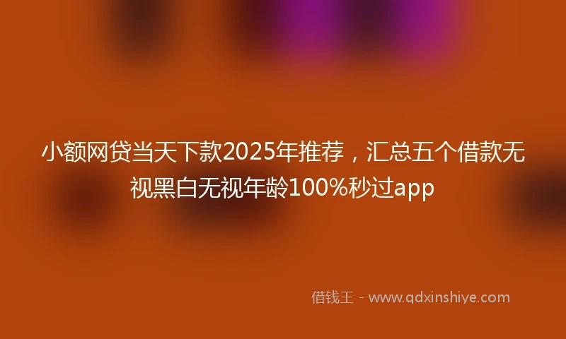 小额网贷当天下款2025年推荐，汇总五个借款无视黑白无视年龄100%秒过app