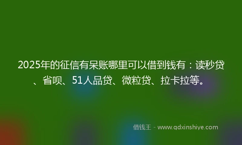 2025年的征信有呆账哪里可以借到钱有：读秒贷、省呗、51人品贷、微粒贷、拉卡拉等。
