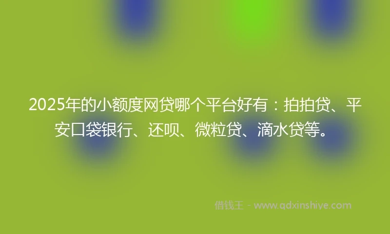 2025年的小额度网贷哪个平台好有：拍拍贷、平安口袋银行、还呗、微粒贷、滴水贷等。
