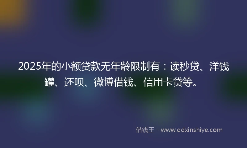 2025年的小额贷款无年龄限制有：读秒贷、洋钱罐、还呗、微博借钱、信用卡贷等。