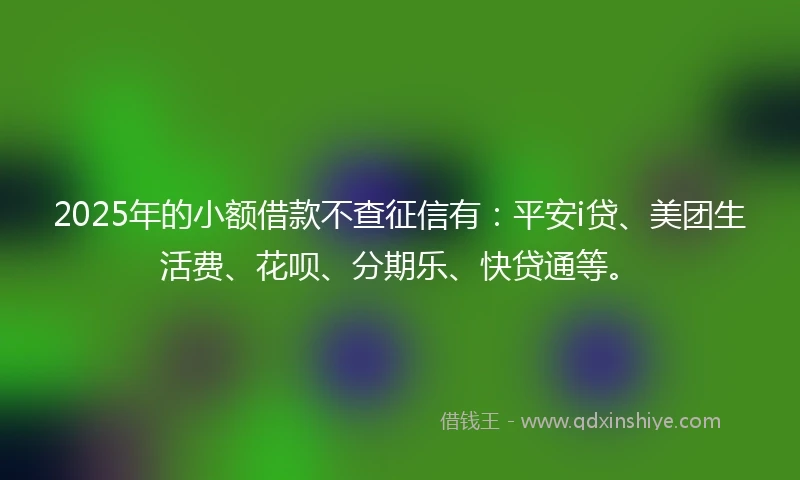 2025年的小额借款不查征信有：平安i贷、美团生活费、花呗、分期乐、快贷通等。