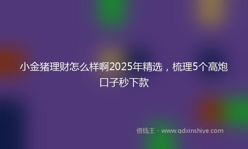 小金猪理财怎么样啊2025年精选，梳理5个高炮口子秒下款