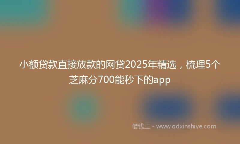 小额贷款直接放款的网贷2025年精选，梳理5个芝麻分700能秒下的app