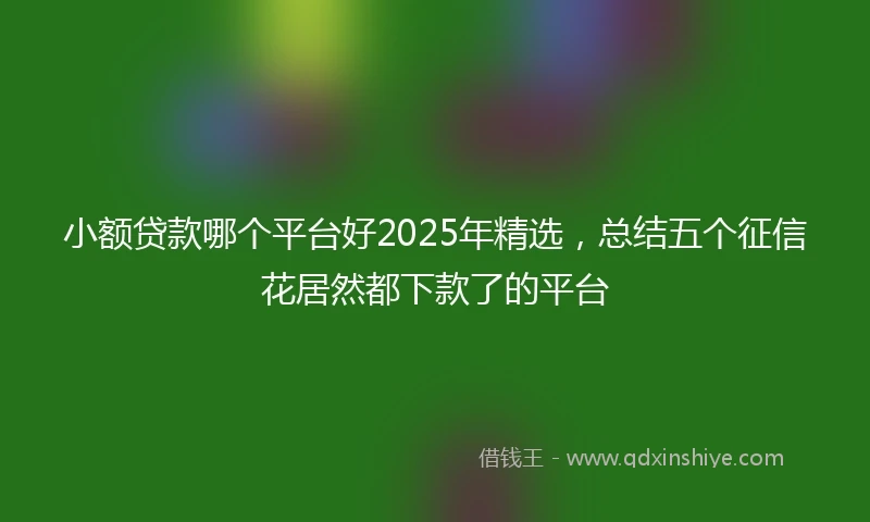 小额贷款哪个平台好2025年精选，总结五个征信花居然都下款了的平台