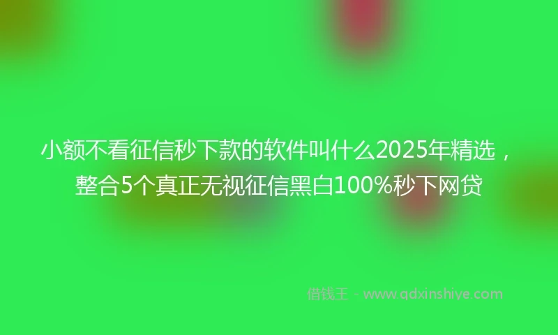 小额不看征信秒下款的软件叫什么2025年精选，整合5个真正无视征信黑白100%秒下网贷