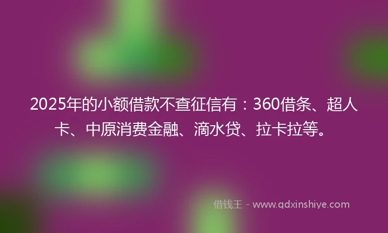 2025年的小额借款不查征信有：360借条、超人卡、中原消费金融、滴水贷、拉卡拉等。