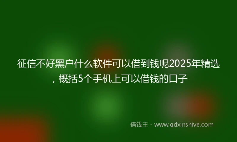 征信不好黑户什么软件可以借到钱呢2025年精选，概括5个手机上可以借钱的口子